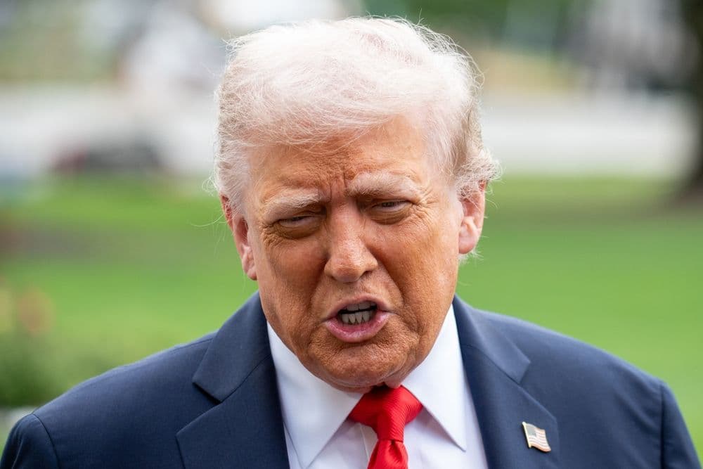 Congressional Democrats Report Accuses Trump of Crypto Power Play