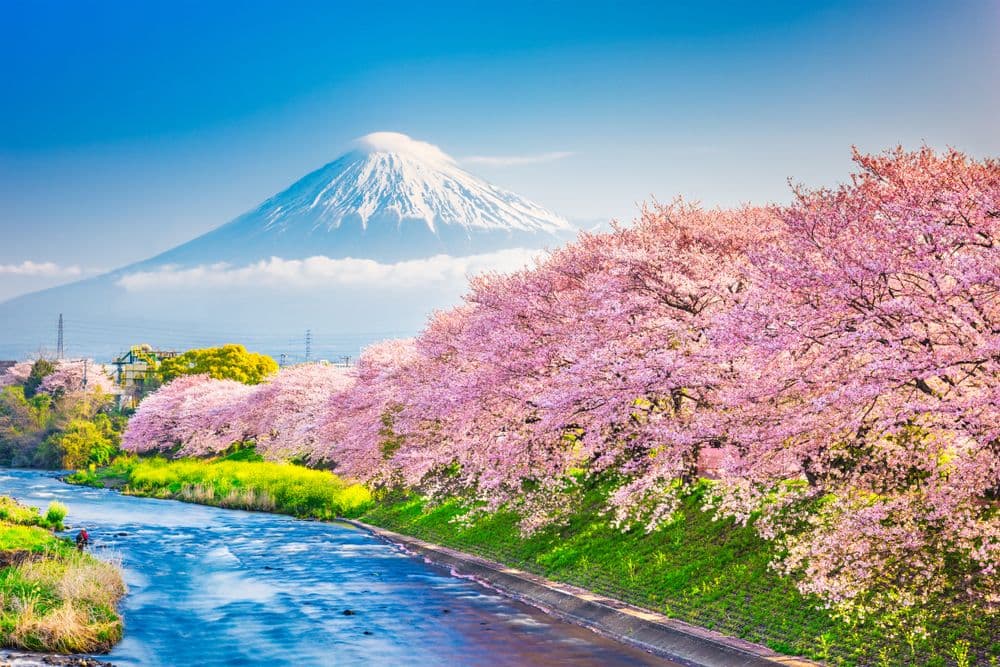 Japan’s Metaplanet Surpasses 20,000 BTC, Ranks Sixth in Bitcoin Holdings