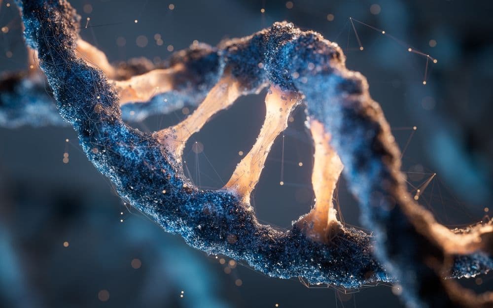 DNA 2