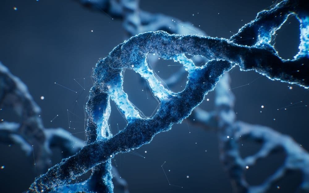 DNA