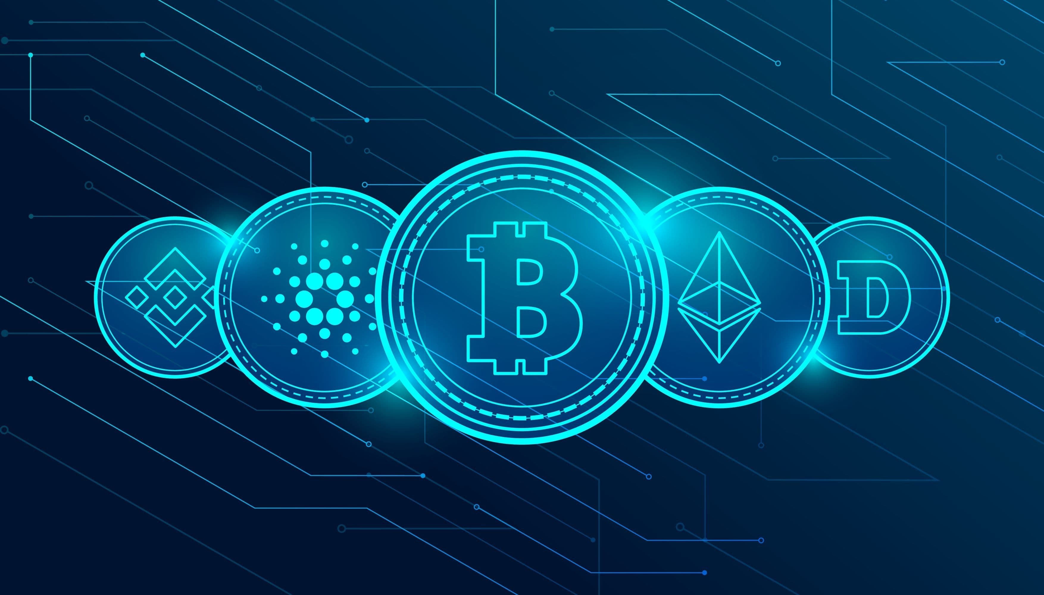 The Crypto Jungle: 5 Rings of Financial Disorder in 2025