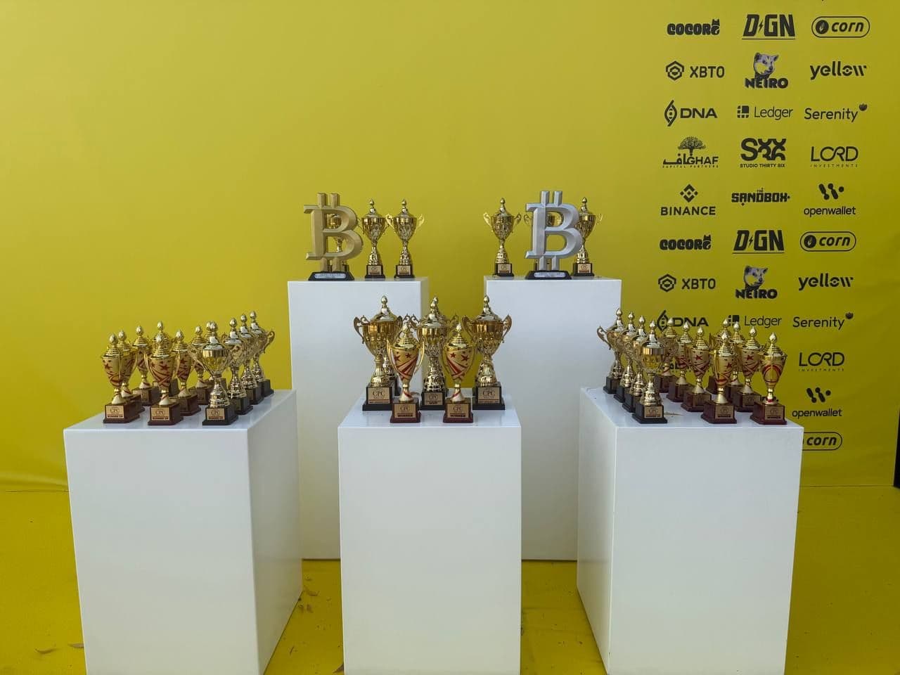 Crypy Polo Cup