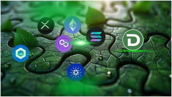 DTX Hits 575,000 Users: Can This DeFi Altcoin Outperform XRP?