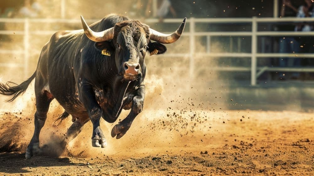 Bull Run