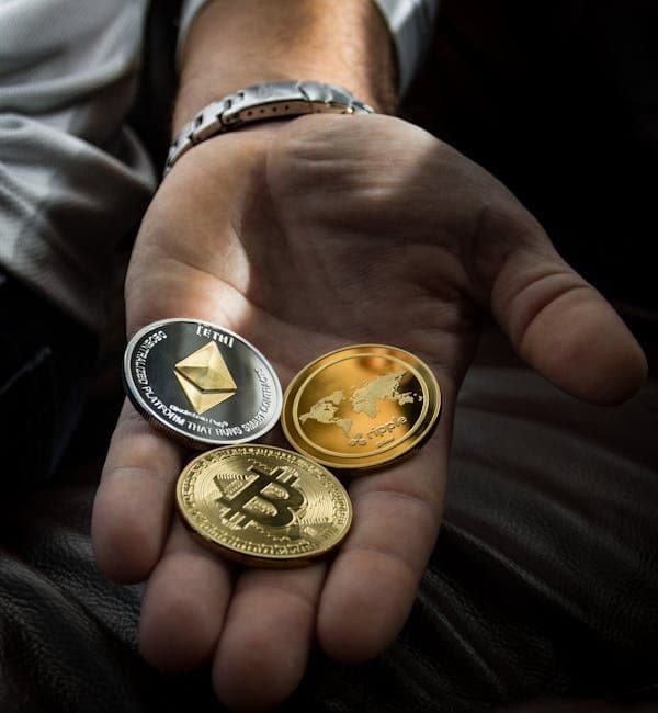 The Participation of Retail Investors Should Become Essential to Develop Crypto Policies